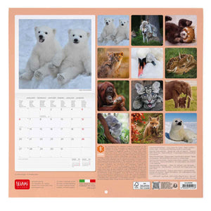 CALENDARIO DE PARED BABY ANIMALS 2025 (CAL250008)