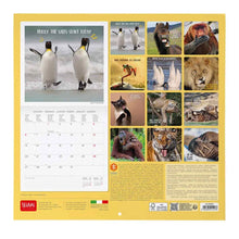 Cargar imagen en el visor de la galería, CALENDARIO DE PARED TAKE IT EASY 2025 (CAL250012)
