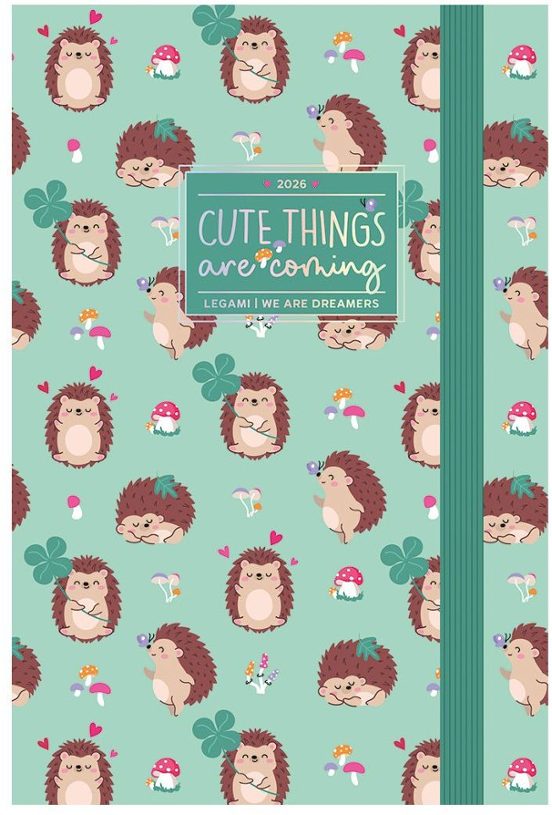 AGENDA 2026 DIARIA 12M PEQUEÑA PHOTO HEDGEHOG