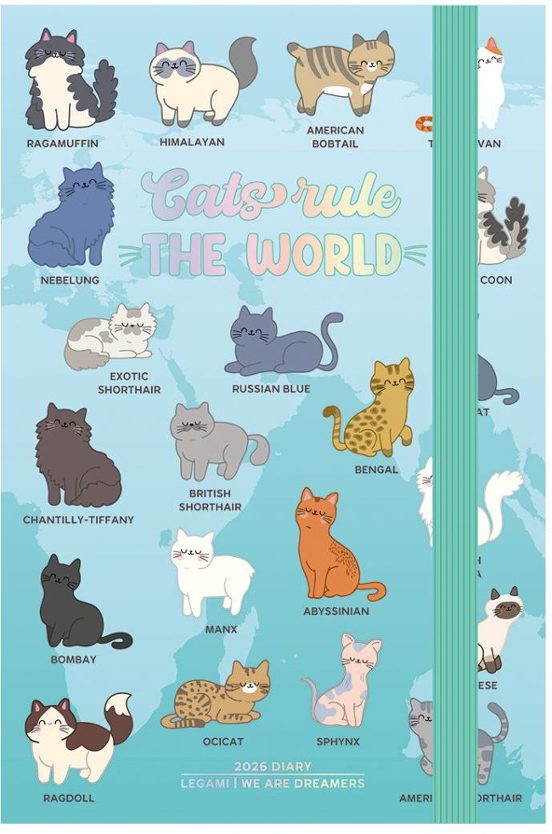 AGENDA 026  DIARIA 12M PEQUEÑA PHOTO KITTY