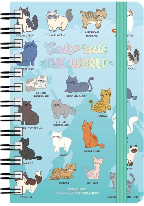 AGENDA 2026 SEMANAL 12M GRANDE CON ESPIRAL KITTY