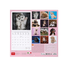 Cargar imagen en el visor de la galería, CALENDARIO 2026 DE PARED PUPPIES
