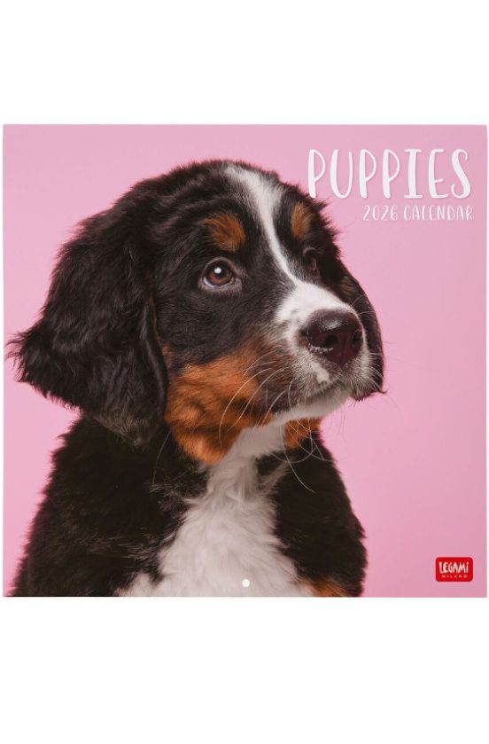 CALENDARIO 2026 DE PARED PUPPIES