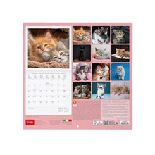 Cargar imagen en el visor de la galería, CALENDARIO 2026 DE PARED KITTENS
