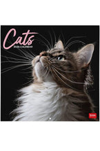 Cargar imagen en el visor de la galería, CALENDARIO 2026 DE PARED CATS
