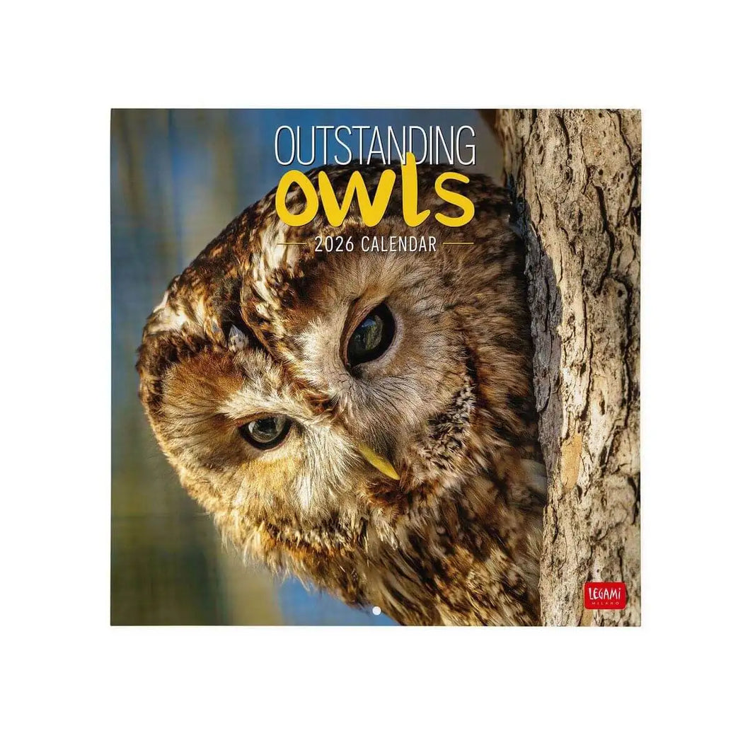 CALENDARIO 2026 DE PARED OUTSTANDING OWLS