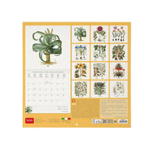 Cargar imagen en el visor de la galería, CALENDARIO 2026 DE PARED HERBARIUM
