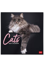 Cargar imagen en el visor de la galería, CALENDARIO DE PARED CATS 2027 (CAL270002)
