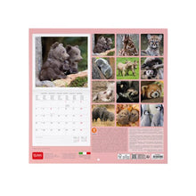 Cargar imagen en el visor de la galería, CALENDARIO DE PARED BABY ANIMALS 2027 (CAL270007)
