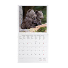 Cargar imagen en el visor de la galería, CALENDARIO DE PARED BABY ANIMALS 2027 (CAL270007)
