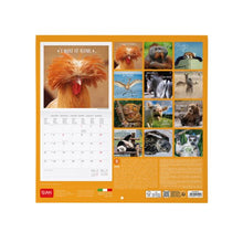 Cargar imagen en el visor de la galería, CALENDARIO DE PARED TAKE IT EASY 2027 (CAL270010)
