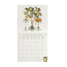 Cargar imagen en el visor de la galería, CALENDARIO DE PARED HERBARIUM 2027 (CAL270039)
