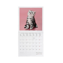 Cargar imagen en el visor de la galería, CALENDARIO DE PARED KITTENS 2027 (CAL270084)
