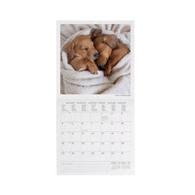 Cargar imagen en el visor de la galería, CALENDARIO DE PARED PUPPIES 2027 (CAL270086)
