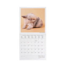 Cargar imagen en el visor de la galería, CALENDARIO DE PARED HONEY BUNNY 2027 (CAL270089)

