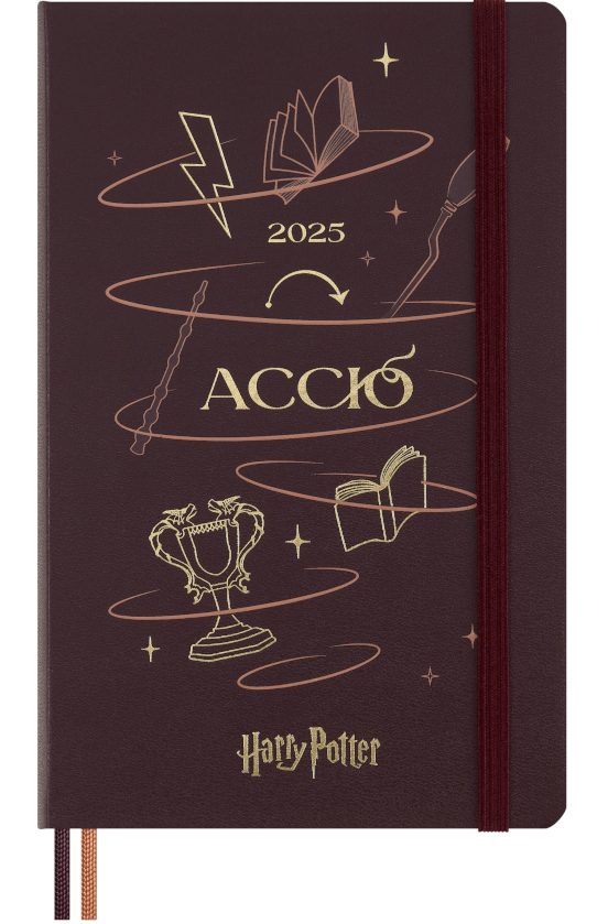 12M DAILY LARGE HARRY POTTER HARD COVER 2025