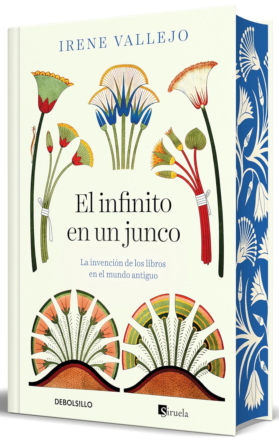 INFINITO EN UN JUNCO (EDICION LIMITADA) (CANTOS PINTADOS) (TD)