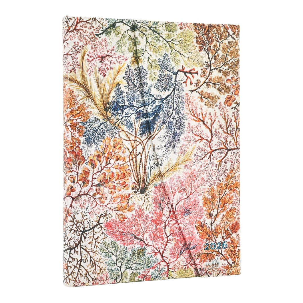 AGENDA  2026 ANEMONE MIDI SEMANAL