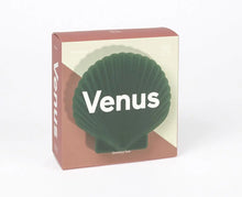 Cargar imagen en el visor de la galería, ORGANIZADOR DE JOYAS VENUS BOX GREEN (DYBOXVEGR)
