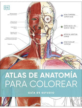 Cargar imagen en el visor de la galería, ATLAS DE ANATOMIA PARA COLOREAR

