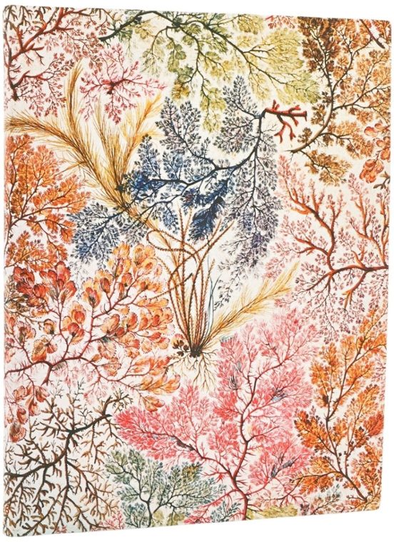 AGENDA 2026  ANEMONE FLEXI ULTRA BUSINESS PLANNER