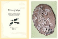 Cargar imagen en el visor de la galería, DINOSAURS AND OTHER PREHISTORIC LIFE POSTER BOOK
