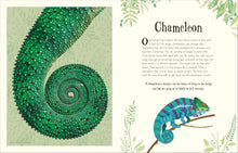 Cargar imagen en el visor de la galería, ANTHOLOGY OF INTRIGUING ANIMALS (HC)
