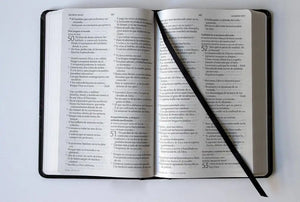 BIBLIA REINA VALERA 1960 LEON DE JUDA (TD)