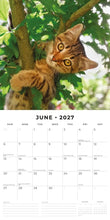 Cargar imagen en el visor de la galería, CALENDARIO ADORABLE CATS 2027 (RR271001)

