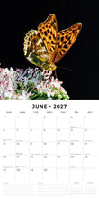 Cargar imagen en el visor de la galería, CALENDARIO BUTTERFLIES 2027 (RR271013)
