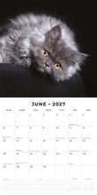 Cargar imagen en el visor de la galería, CALENDARIO CUTE KITTENS 2027 (RR271019)
