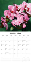 Cargar imagen en el visor de la galería, CALENDARIO ORCHIDS 2027 (RR271128)
