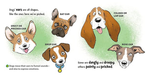 DR SEUSS DISCOVERS DOGS (BB)