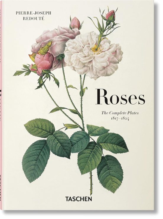 REDOUTE ROSES (HC)