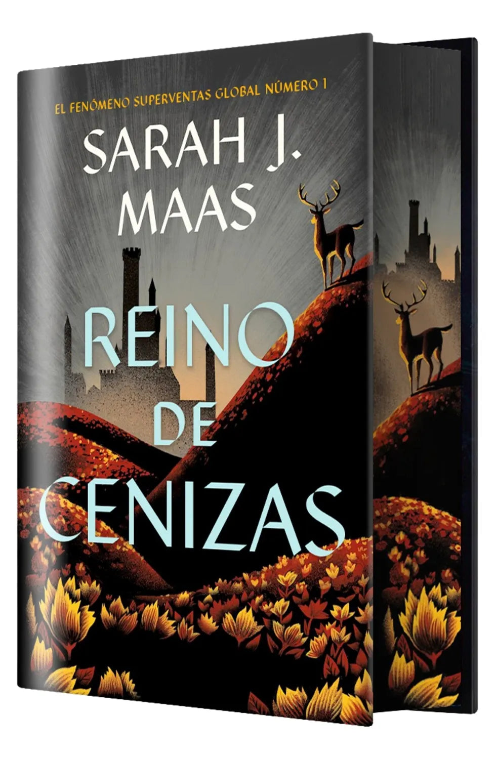 TRONO DE CRISTAL EDICION LIMITADA 07 REINO DE CENIZAS (CANTOS PINTADOS) (TD)