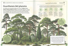Cargar imagen en el visor de la galería, ARBOLES MAGNIFICO LIBRO (TD) (S2114008)
