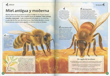 Cargar imagen en el visor de la galería, MAGNIFICO LIBRO DE LAS ABEJAS (TD) (S2114010)
