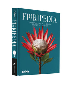 FLORIPEDIA (TD)