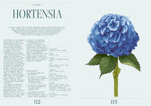 Cargar imagen en el visor de la galería, FLORIPEDIA (TD)
