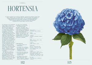 FLORIPEDIA (TD)