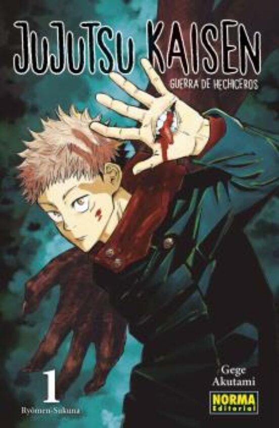 JUJUTSU KAISEN VOL 01