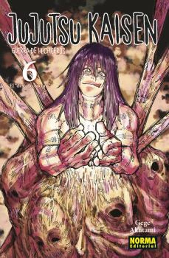 JUJUTSU KAISEN VOL 06