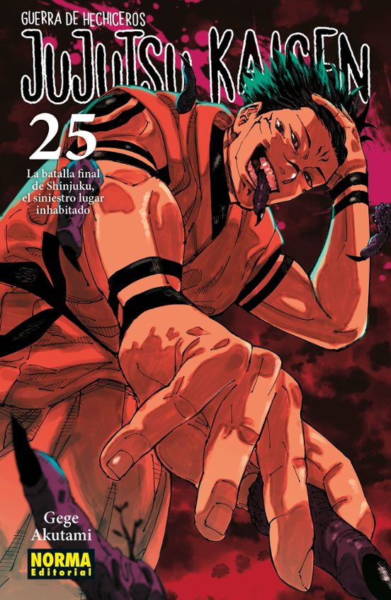 JUJUTSU KAISEN VOL 25