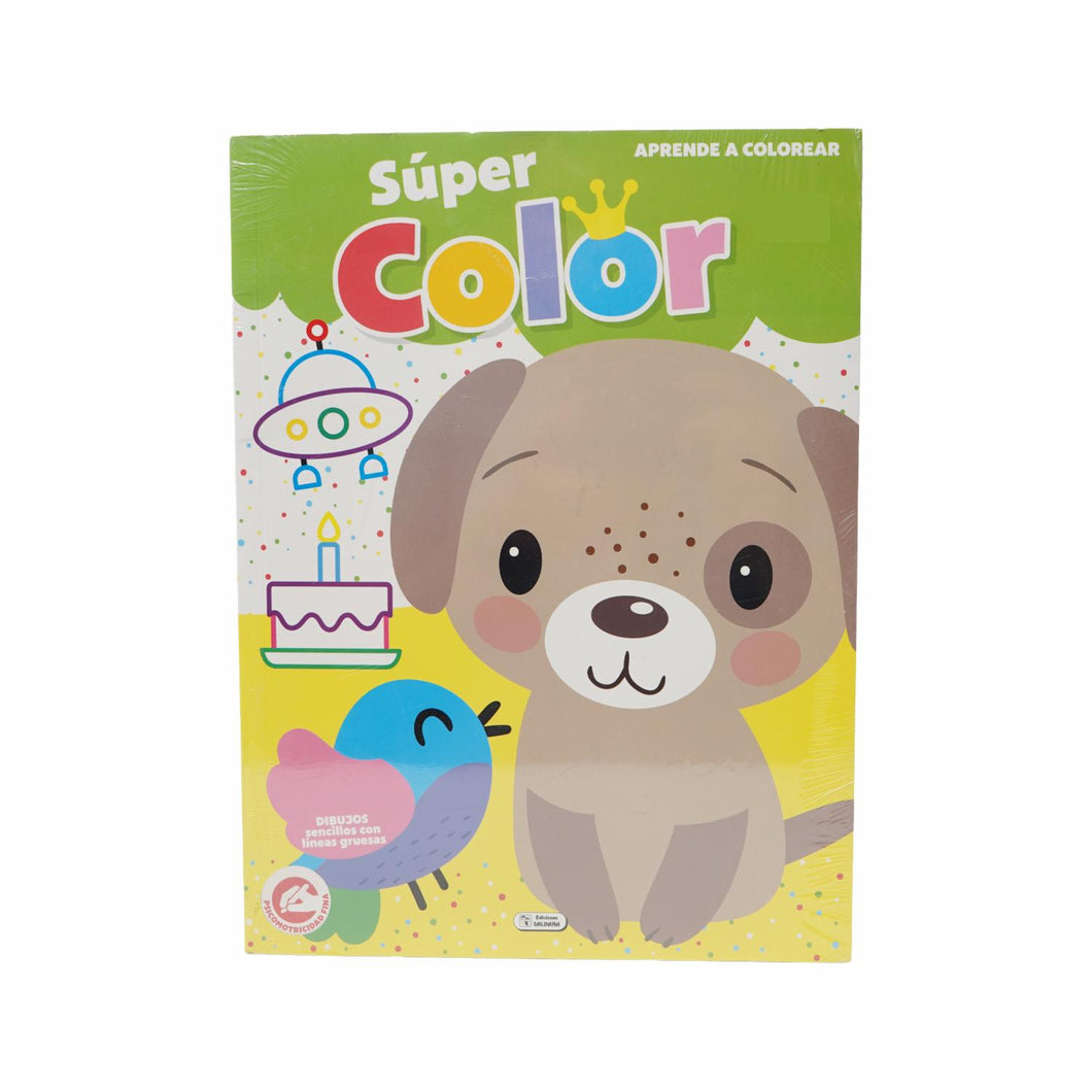 SUPER COLOR DIDACTICO – Internacional Libros . Regalos