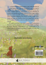 Cargar imagen en el visor de la galería, CASTILLO AMBULANTE EDICION ILUSTRADA (TD)
