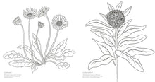 Cargar imagen en el visor de la galería, WONDERFUL WILDFLOWERS COLORING BOOK
