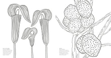 Cargar imagen en el visor de la galería, WONDERFUL WILDFLOWERS COLORING BOOK
