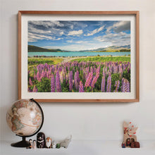 Cargar imagen en el visor de la galería, ROMPECABEZAS LUPINS AT LAKE TEKAPO COMPACT 1500 PCS (31731)
