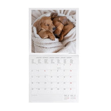 Cargar imagen en el visor de la galería, CALENDARIO DE PARED PUPPIES 2027 (CAL270003)
