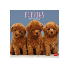 Cargar imagen en el visor de la galería, CALENDARIO DE PARED PUPPIES 2027 (CAL270003)
